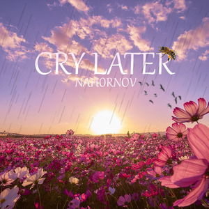 Cry Later