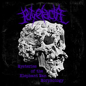 Mysteries of the Elephant Man Morphology