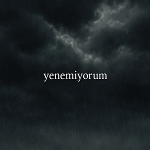 Yenemiyorum