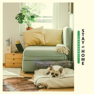 Stay At Home