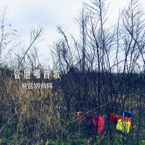 管他哪首歌（愚人节数码版）