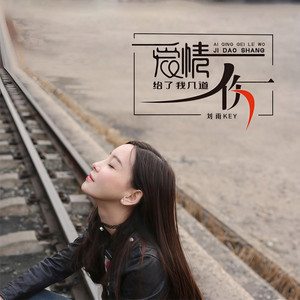 爱情给了我几道伤