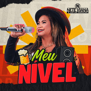 Meu Nível