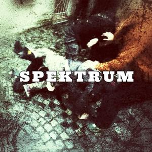 SPEKTRUM (feat. ONDRA)