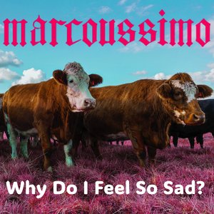 Why Do I Feel So Sad?