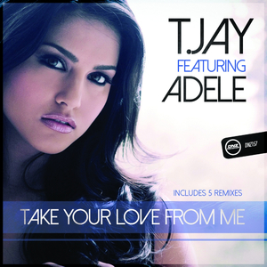 Take Your Love From Me (Deejay Laura Remix)
