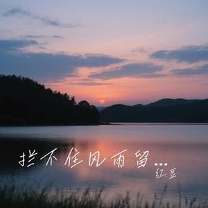 拦不住风雨留不住你 (Cover 洋澜一)