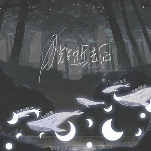 月辉逝去后 伴奏