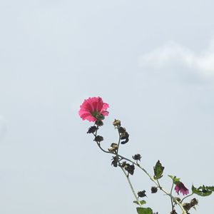 To You（SLOWDOWN）