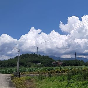 仲夏漫游
