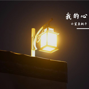 我的心 伴奏