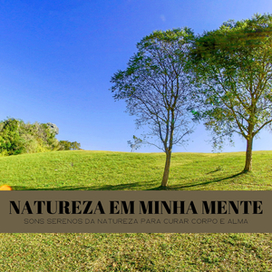 Acupuntura