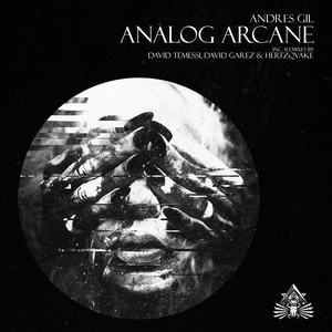 Analog Arcane (David Temessi Remix)
