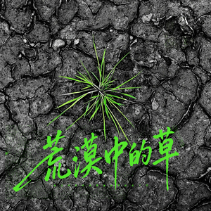 荒漠中的草 (伴奏)