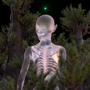 Str3ight Chimpin' (feat. Gavz & NAUME)