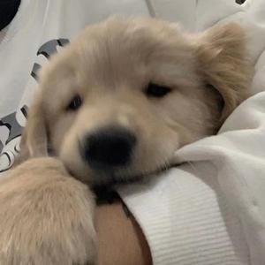 无名的人