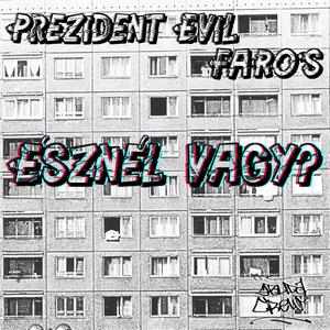 Észnél Vagy? (feat. FaRoS)