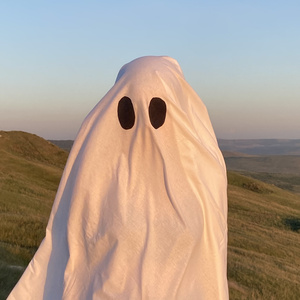 Маленьким призраком