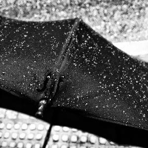 小丑不配有自由