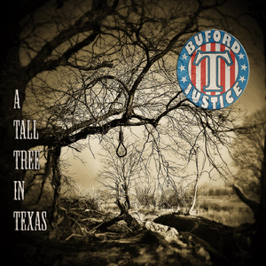 A Tall Tree in Texas