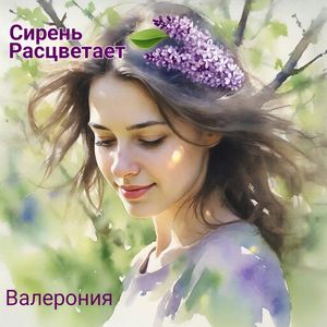 Сирень расцветает