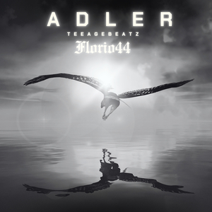 Adler
