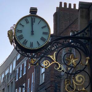 The Gentle Spirit Of The Displaced