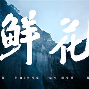 鲜花（cover回春丹）