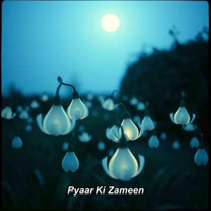 Pyaar Ki Zameen