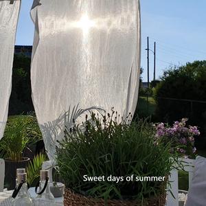 Sweet days of summer