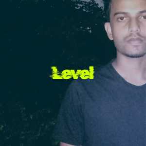 Level