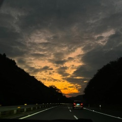 她说难过的眼睛像柏林的一场雾