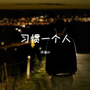 习惯一个人