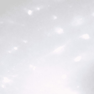 The First Waltz of the Year