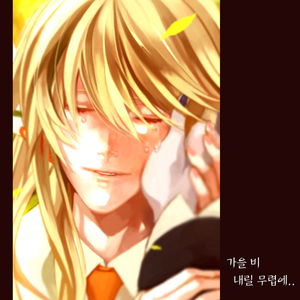 가을비 내릴 무렵에..