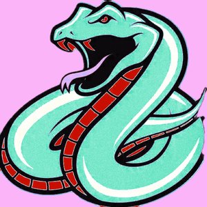 金牌嗨王沈阳风中文专场重低音Melbourne风暴大碟