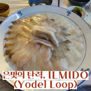 은빛의 탄력, ILMIDO (Yodel Loop)