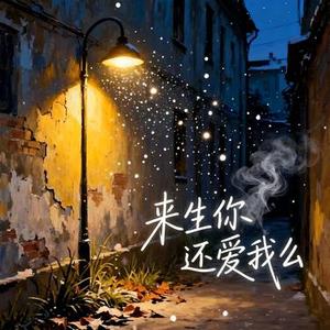 来生你还爱我么