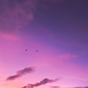 溯