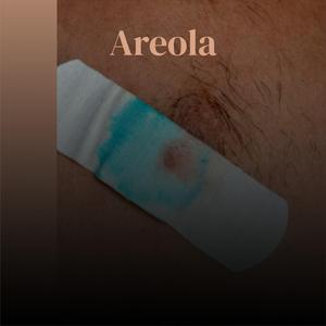 Areola