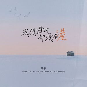 我想避风却没有港