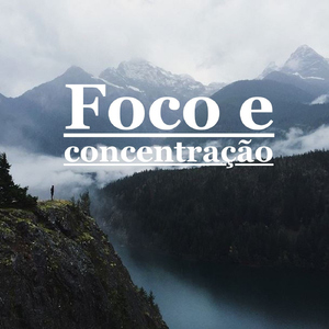 Observação de Pássaros