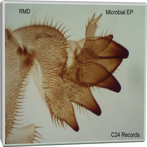 Microbial (Original Mix)