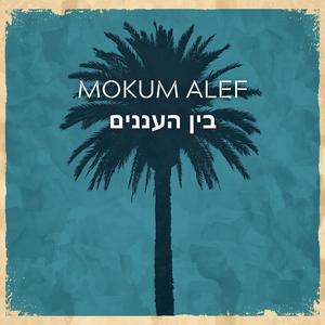 בין העננים