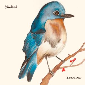 bluebird