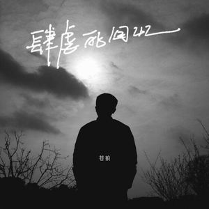 肆虐的回忆