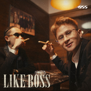 Like Boss