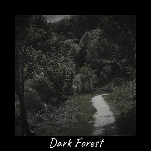Dark Forest
