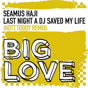 Last Night A DJ Saved My Life (Hot Toddy Remix)