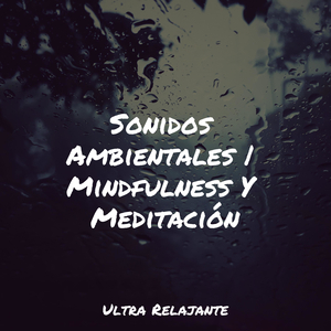 Relájate en Armonía